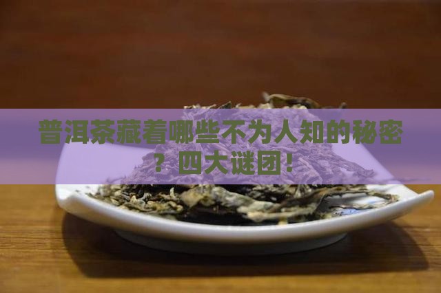 普洱茶藏着哪些不为人知的秘密？四大谜团！