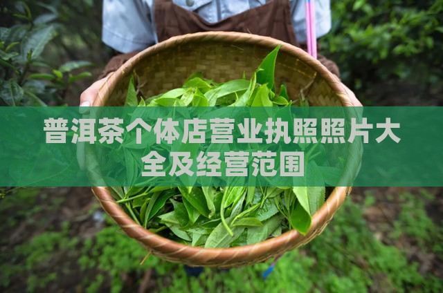 普洱茶个体店营业执照照片大全及经营范围