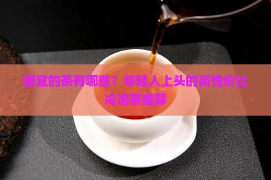 便宜的茶有哪些？年轻人上头的高性价比冷泡茶推荐