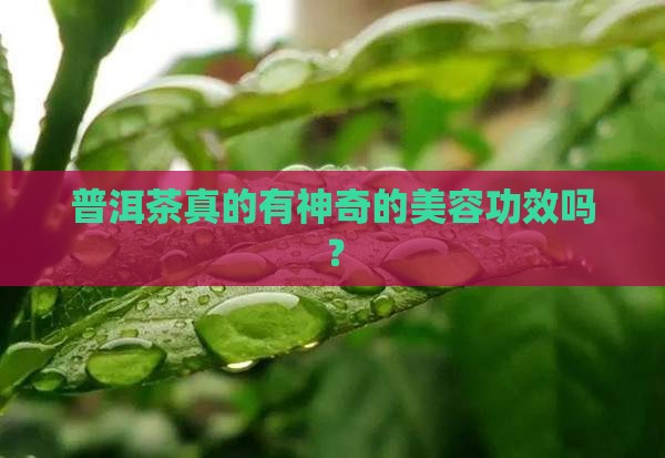 普洱茶真的有神奇的美容功效吗？
