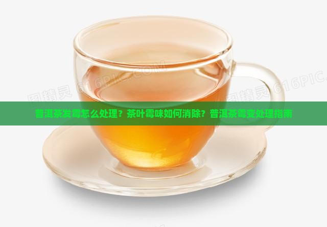 普洱茶发霉怎么处理？茶叶霉味如何消除？普洱茶霉变处理指南