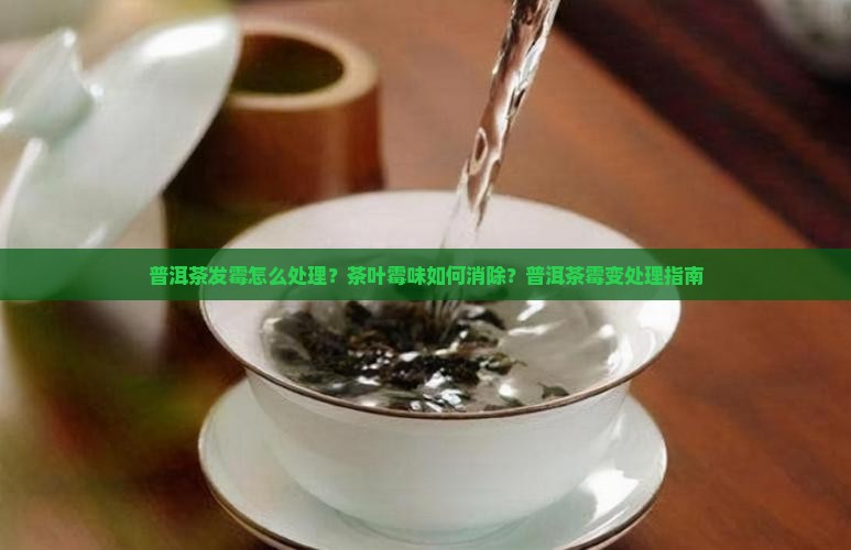 普洱茶发霉怎么处理？茶叶霉味如何消除？普洱茶霉变处理指南