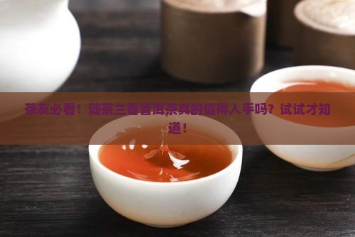 茶友必看！随茶兰香普洱茶真的值得入手吗？试试才知道！
