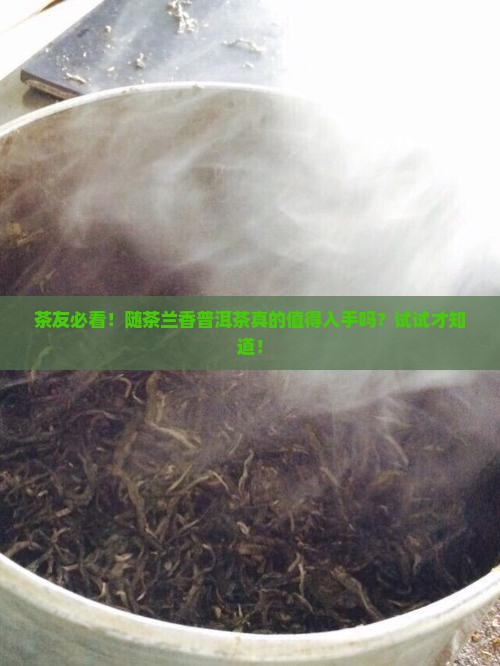 茶友必看！随茶兰香普洱茶真的值得入手吗？试试才知道！