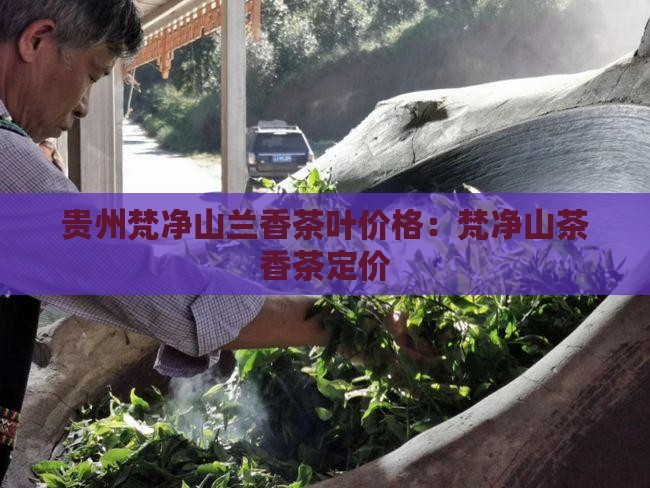 贵州梵净山兰香茶叶价格：梵净山茶香茶定价