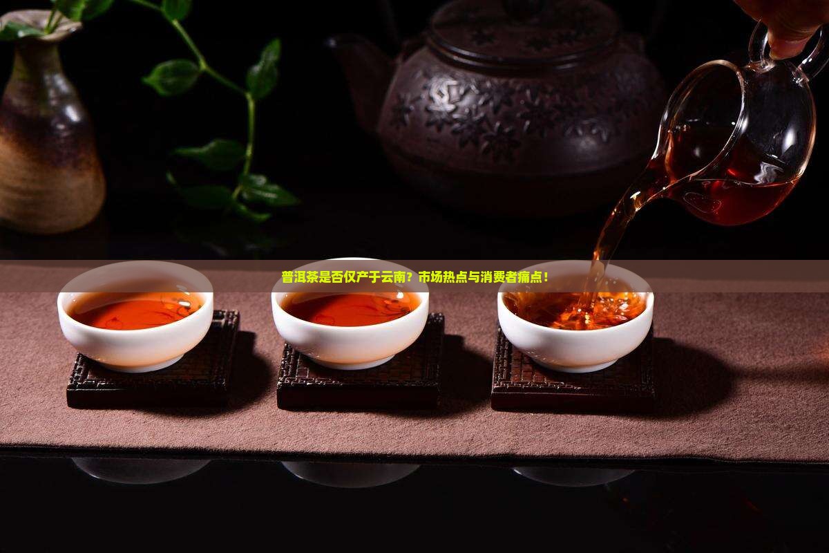 普洱茶是否仅产于云南？市场热点与消费者痛点！