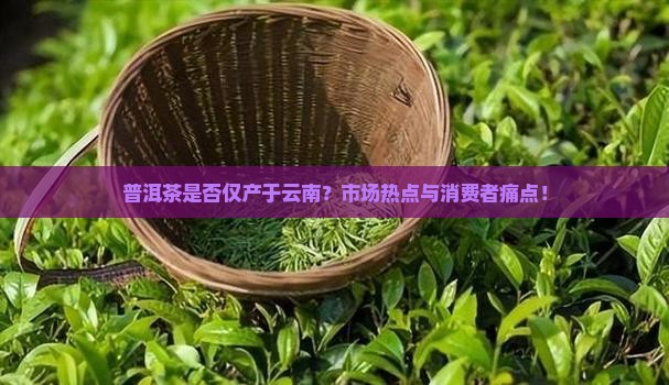 普洱茶是否仅产于云南？市场热点与消费者痛点！