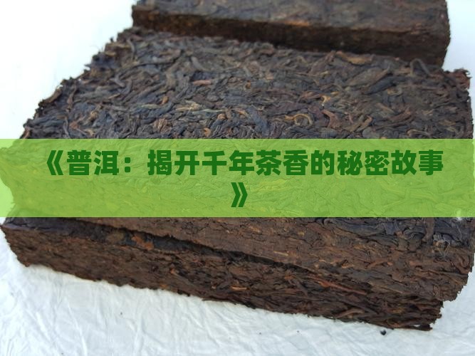 《普洱：揭开千年茶香的秘密故事》