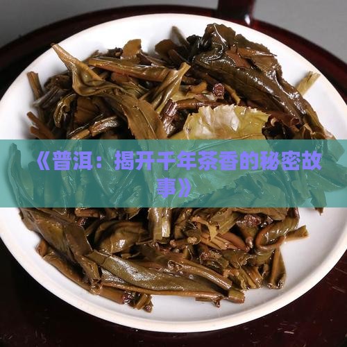 《普洱：揭开千年茶香的秘密故事》