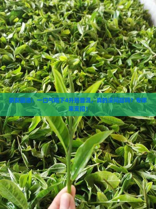 茶友困惑：一口气喝下4升熟普洱，真的没问题吗？专家来支招！