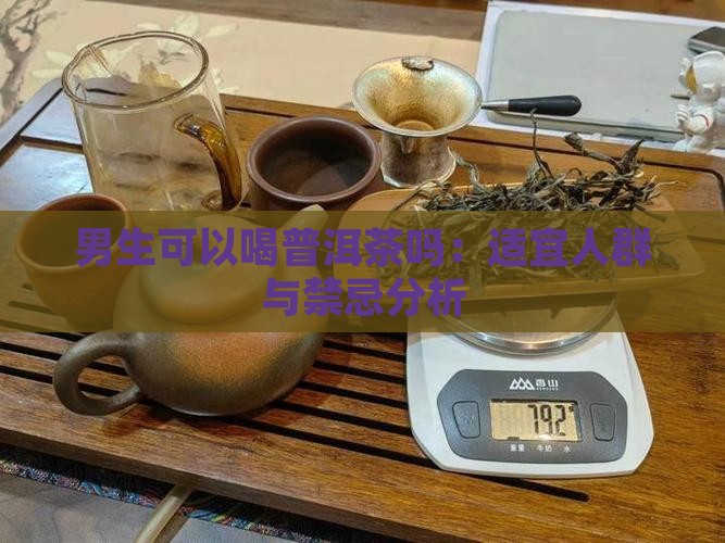 男生可以喝普洱茶吗：适宜人群与禁忌分析