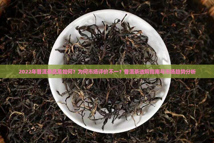 2022年普洱茶品质如何？为何市场评价不一？普洱茶选购指南与市场趋势分析