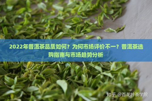 2022年普洱茶品质如何？为何市场评价不一？普洱茶选购指南与市场趋势分析