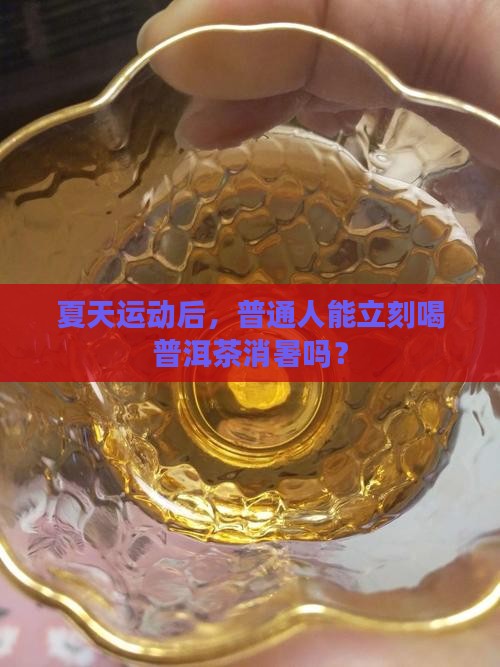 夏天运动后，普通人能立刻喝普洱茶消暑吗？
