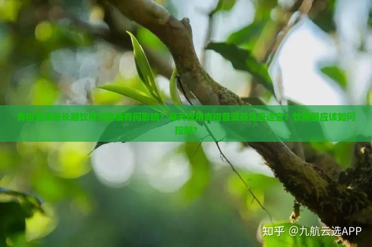 青柑普洱茶长期饮用对健康有何影响？每天饮用青柑普洱茶是否适宜？饮用量应该如何控制？