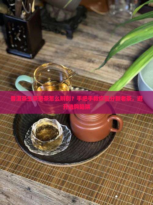 普洱茶生茶熟茶怎么辨别？手把手教你区分新老茶，避开选购陷阱