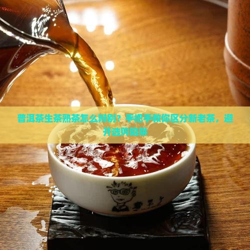 普洱茶生茶熟茶怎么辨别？手把手教你区分新老茶，避开选购陷阱