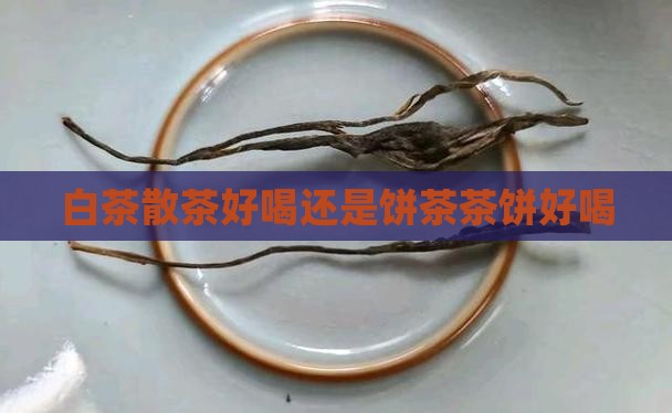 白茶散茶好喝还是饼茶茶饼好喝