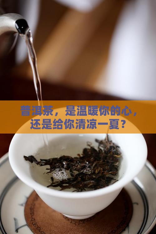 普洱茶，是温暖你的心，还是给你清凉一夏？