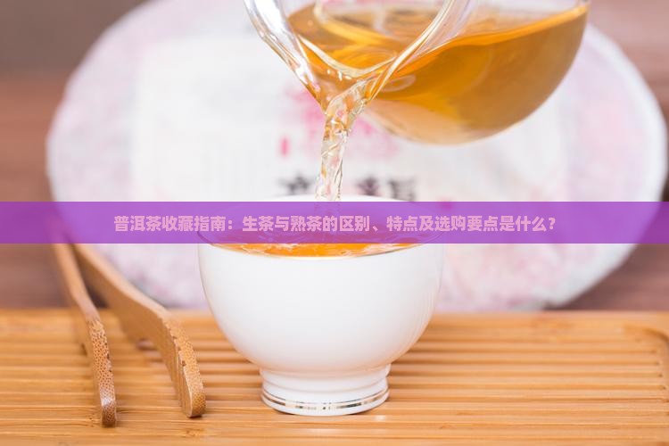 普洱茶收藏指南：生茶与熟茶的区别、特点及选购要点是什么？
