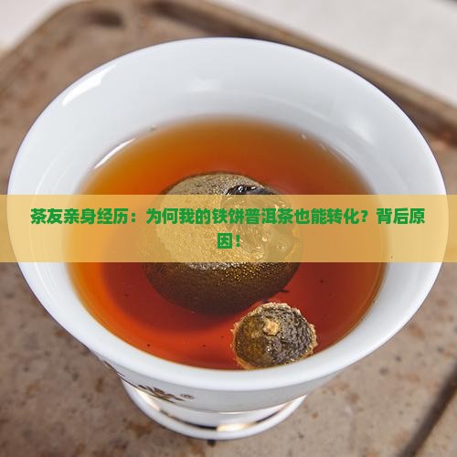 茶友亲身经历：为何我的铁饼普洱茶也能转化？背后原因！