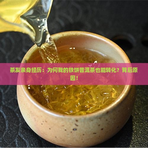 茶友亲身经历：为何我的铁饼普洱茶也能转化？背后原因！