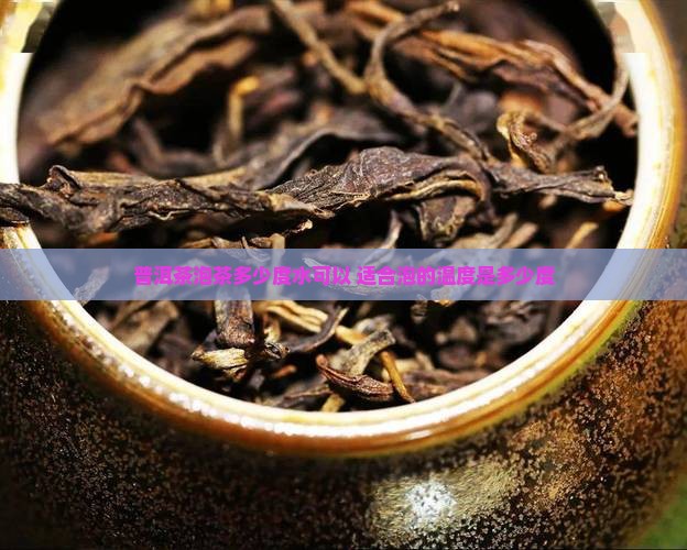 普洱茶泡茶多少度水可以 适合泡的温度是多少度