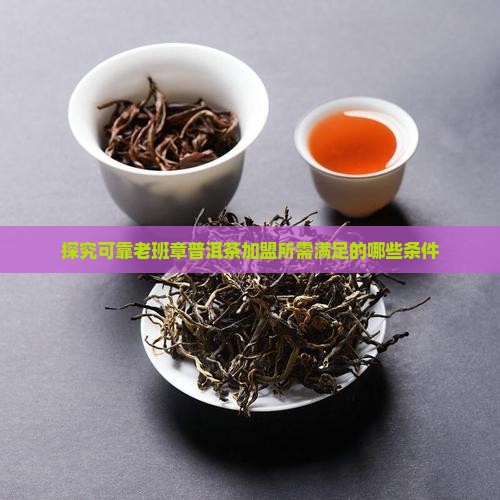 探究可靠老班章普洱茶加盟所需满足的哪些条件