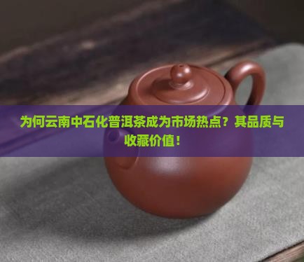 为何云南中石化普洱茶成为市场热点？其品质与收藏价值！