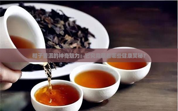 柑子普洱的神奇魅力：它究竟藏着哪些健康奥秘？