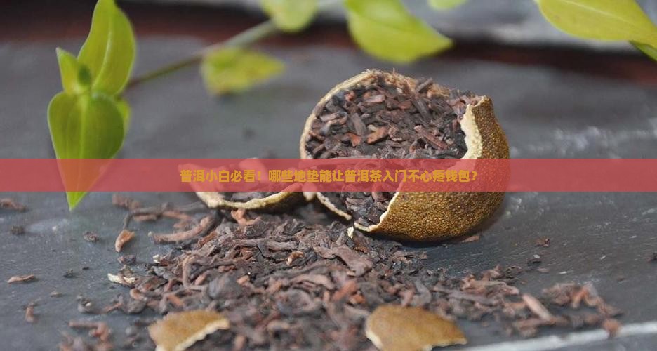 普洱小白必看！哪些地垫能让普洱茶入门不心疼钱包？