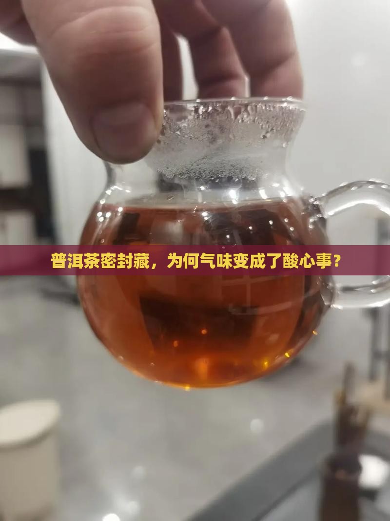 普洱茶密封藏，为何气味变成了酸心事？