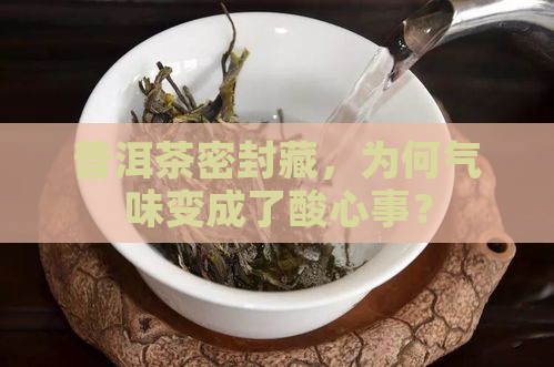 普洱茶密封藏，为何气味变成了酸心事？