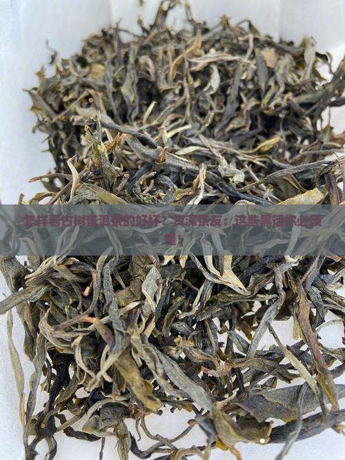 怎样看古树普洱茶的好坏？资深茶友：这些黑话你必须懂！