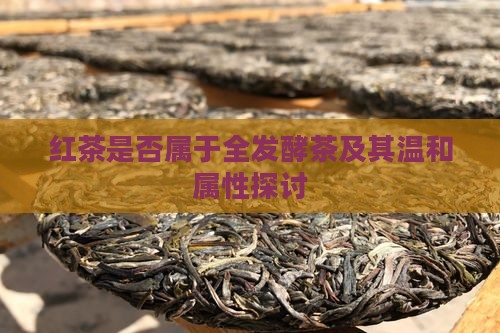红茶是否属于全发酵茶及其温和属性探讨