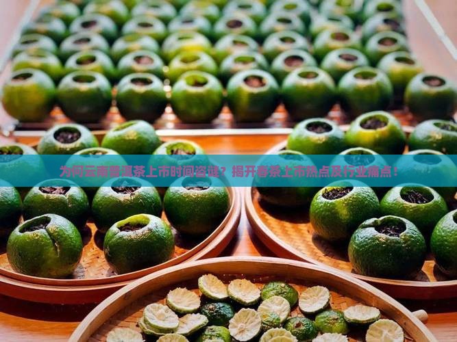 为何云南普洱茶上市时间咨谜？揭开春茶上市热点及行业痛点！