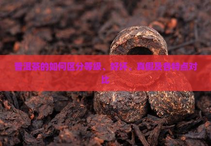 普洱茶的如何区分等级、好坏、真假及各特点对比