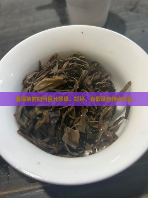 普洱茶的如何区分等级、好坏、真假及各特点对比