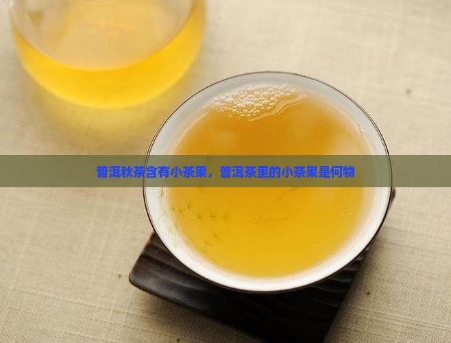 普洱秋茶含有小茶果，普洱茶里的小茶果是何物
