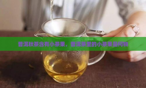 普洱秋茶含有小茶果，普洱茶里的小茶果是何物