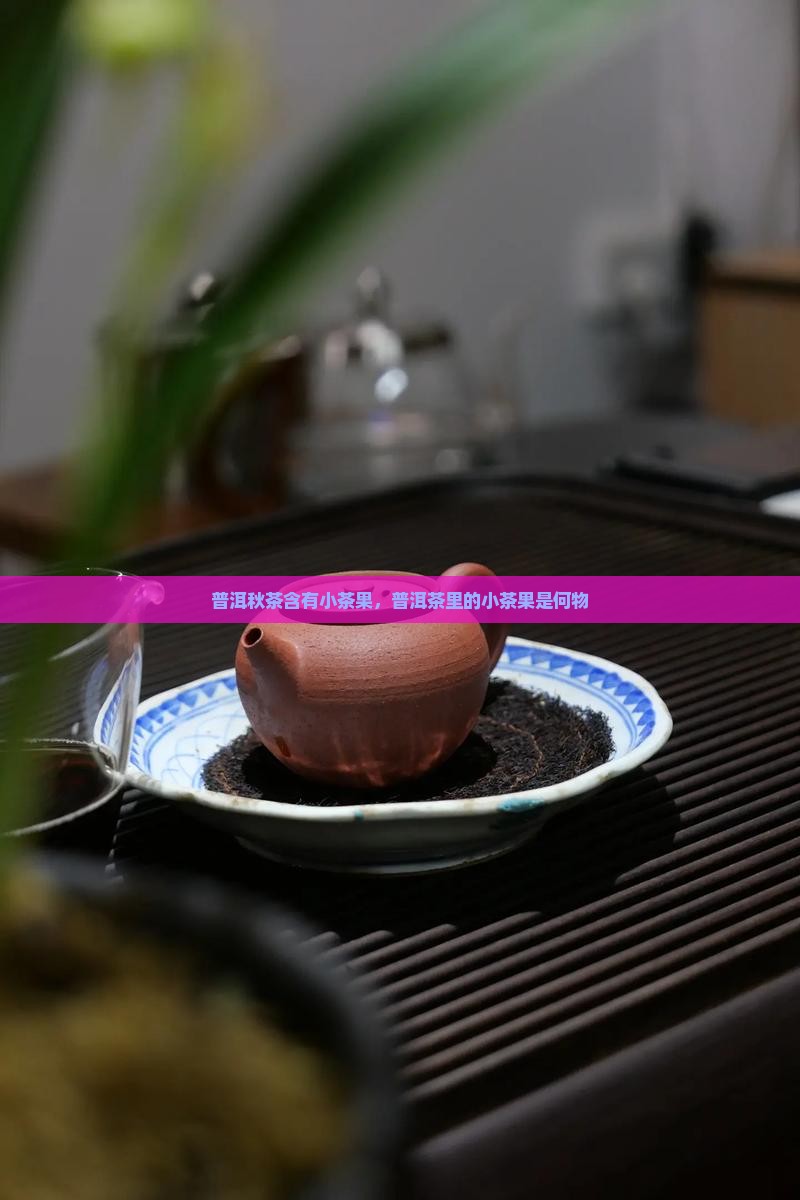 普洱秋茶含有小茶果，普洱茶里的小茶果是何物