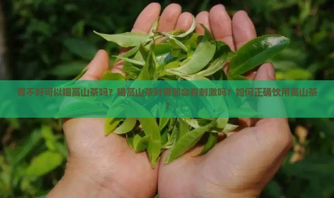胃不好可以喝高山茶吗？喝高山茶对胃部会有刺激吗？如何正确饮用高山茶？
