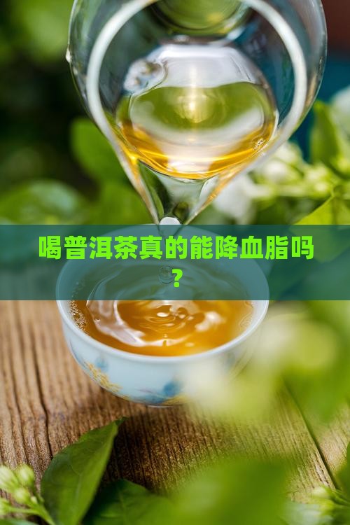 喝普洱茶真的能降血脂吗？