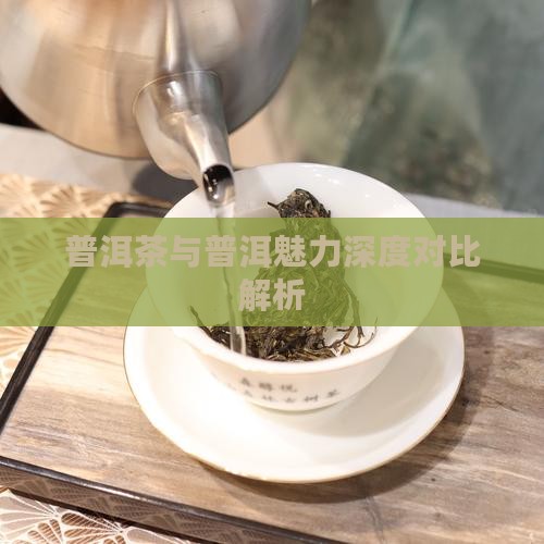 普洱茶与普洱魅力深度对比解析
