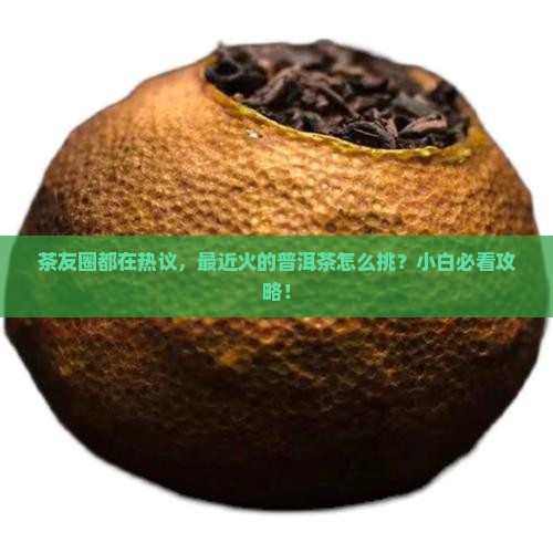 茶友圈都在热议，最近火的普洱茶怎么挑？小白必看攻略！