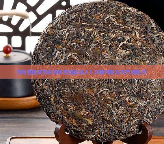 为何老班章古树茶汤色如此诱人？其独特魅力与市场热点！