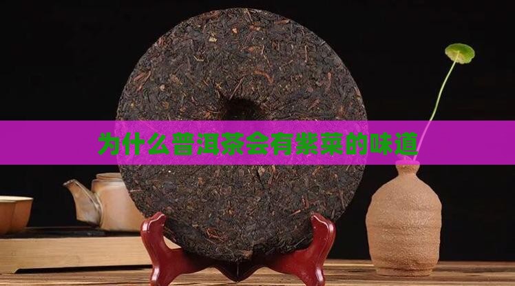 为什么普洱茶会有紫菜的味道