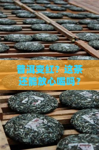 普洱变红？这茶还能放心喝吗？