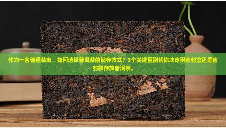作为一名普通茶友，如何选择普洱茶的储存方式？3个关键区别帮你决定用密封盒还是密封袋存放普洱茶。