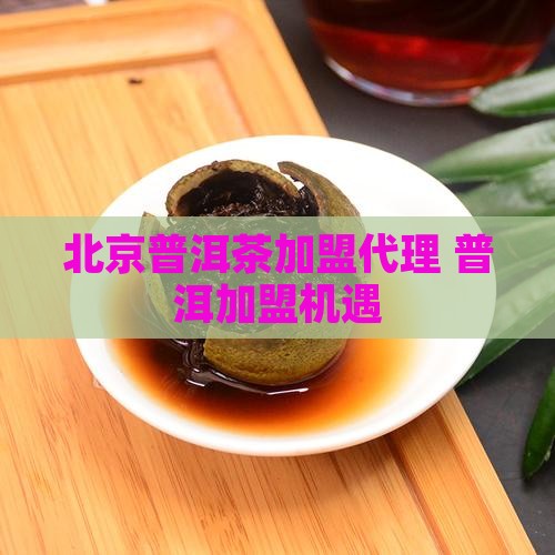 北京普洱茶加盟代理 普洱加盟机遇